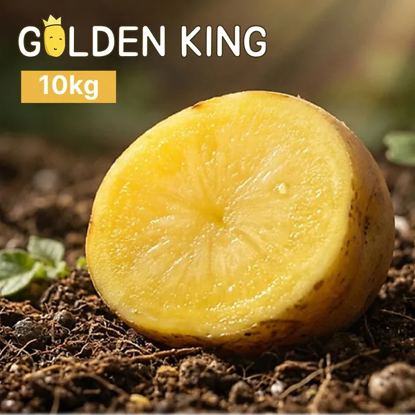 골든킹 감자 10kg 상품 사진